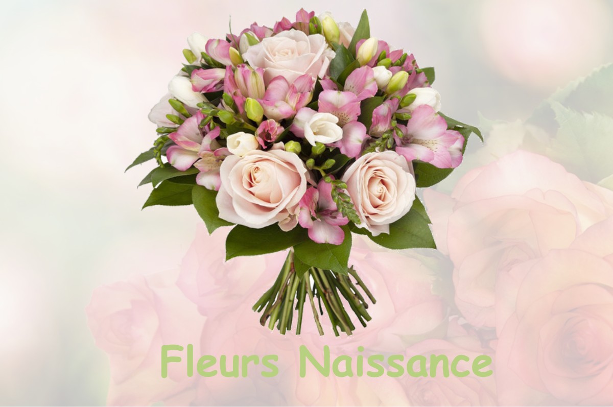fleurs naissance LE-VIEUX-MARCHE