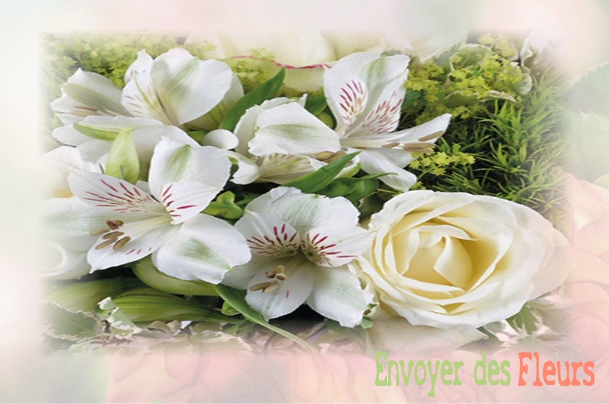 envoyer des fleurs à à LE-VIEUX-MARCHE